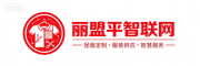 丽盟平智联网